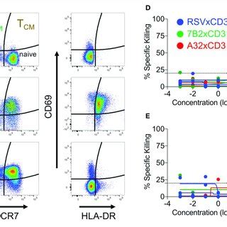 Cord Blood Mononuclear Cell CBMC CD8 T Cells Subset Distribution