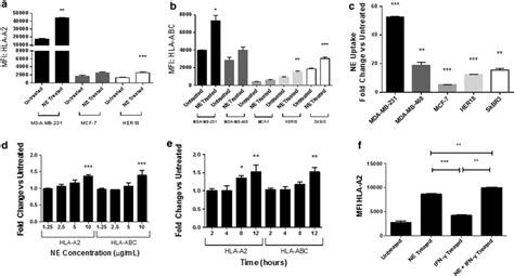 Ne Uptake Leads To Increased Surface Expression Of Hla Class I In