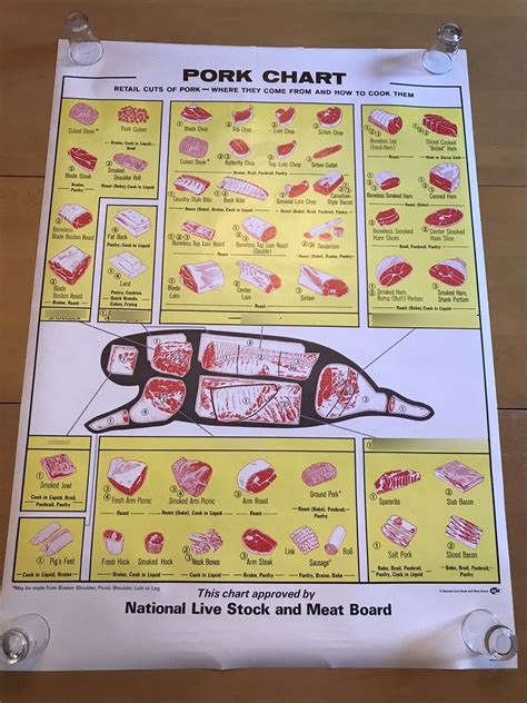 Pork Wholesale Cuts Diagram | Quizlet