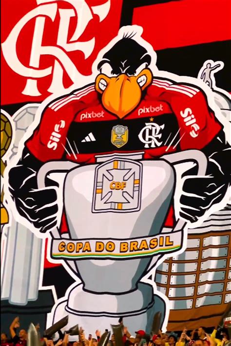 Torcida Do Flamengo Faz Mosaico 3d Contra O Athletico Pr Pela Copa Do