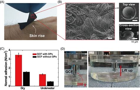 Mechanisms And Applications Of Bioinspired Underwaterwet Adhesives