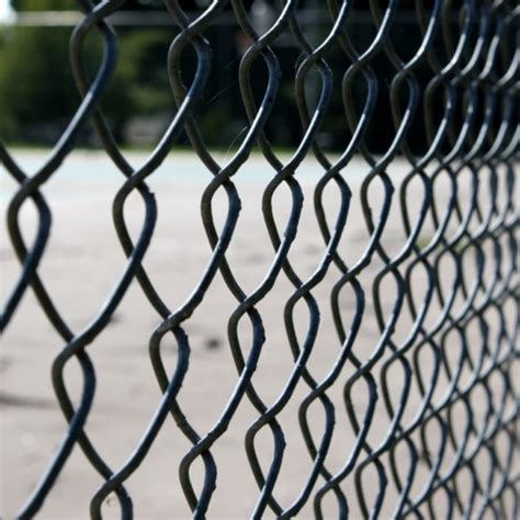 What is a No-Climb Animal Fence? | Zepco Fence | Fence Company