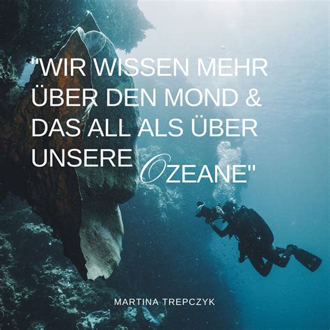 Art Activism Warum Klimaschutz Emotionale Ber Hrung Empathie Und