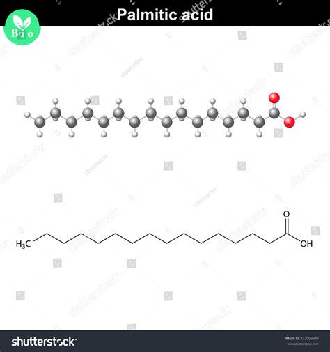 Palmitic Acid Molecule Molecular Structure Chemical Stock Illustration