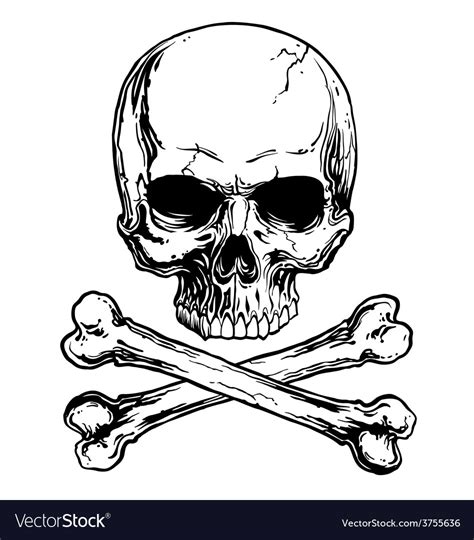 Skull and crossbones Royalty Free Vector Image