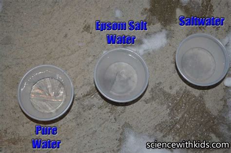 Water Freezing Temperature Experiment | Science with Kids.com