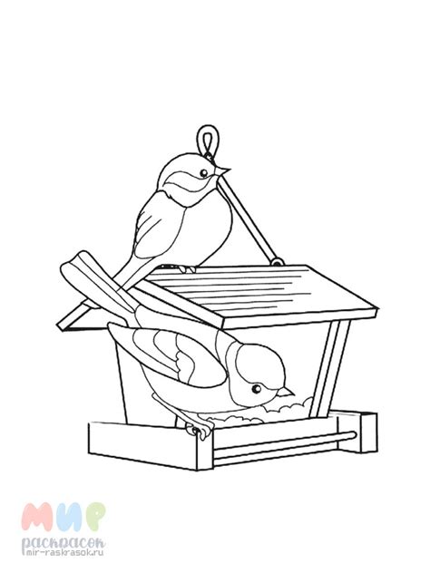 Раскраска Кормушка для птиц Часть 2 — Мир раскрасок