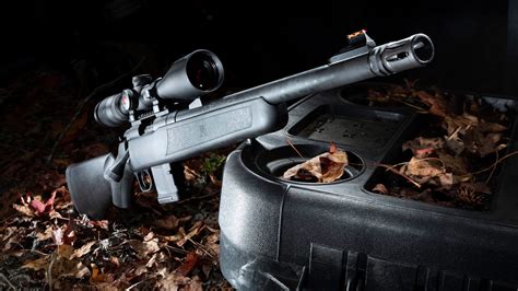 Iron Sights Hunting Rifle At Ruth Stiefel Blog