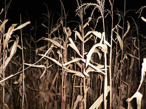 Ohio Haunted Corn Mazes