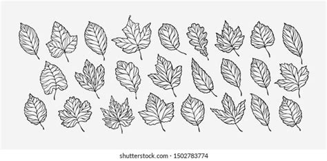 Vector Doodle Leaves Set Stock Vector Royalty Free 409684690