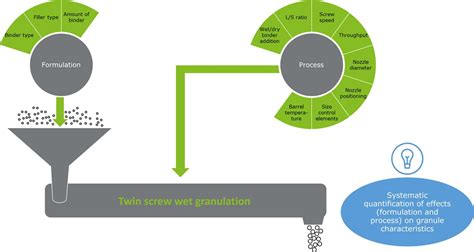 Continuous Twin Screw Granulation Influence Of Process And Formulation