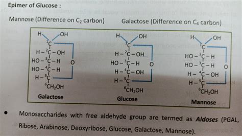 Epimer Of Glucose Mannose Difference On C2 Carbon Galactose Differ