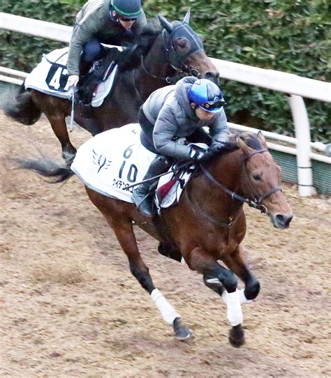 【岩田康誠の熱血！！競馬道】距離短縮ケイデンスコールの復活v狙う Umatoku 馬トク