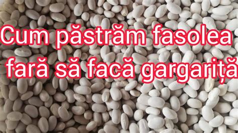 Iata Cum Se Pastreaza Fasolea Peste Iarna Fara Sa Faca Gargarita Youtube