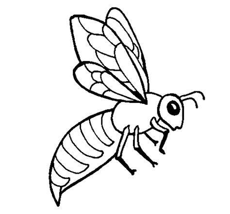 Dibujo De Abeja Para Colorear Dibujos Net