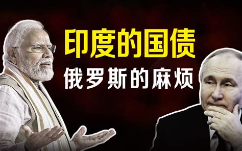 说好了印俄牵手，一起去美元化，为何印度偷偷印好了国债在等他？ 火烈鸟洞察室 火烈鸟洞察室 哔哩哔哩视频