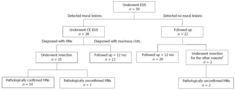 Differential Diagnosis Of Benign And Malignant Branch Duct Intraductal