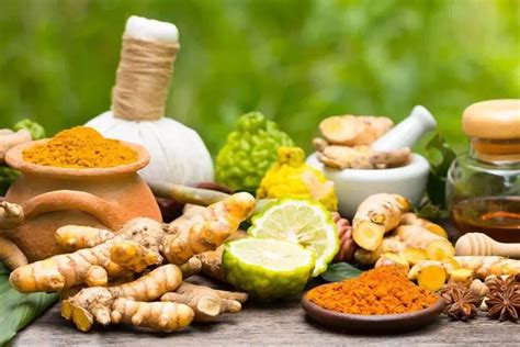 Kerala Ayurvedic Doctors Can Now Present Medical Certificate For