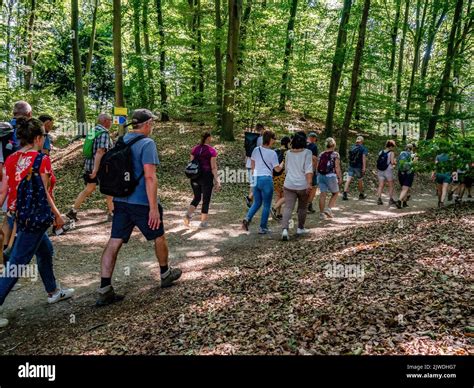 Los Participantes Son Vistos Caminando En Un Rea De Bosque La Marcha