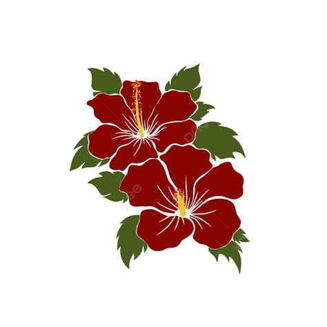 Imagen De Ilustración De Flor De Hibisco De Malasia Png Malasia Hibiscus Floral Png Y Psd