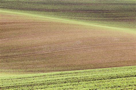 South Moravian Fields, Czech Republic Fields, Moravian Hills Stock ...