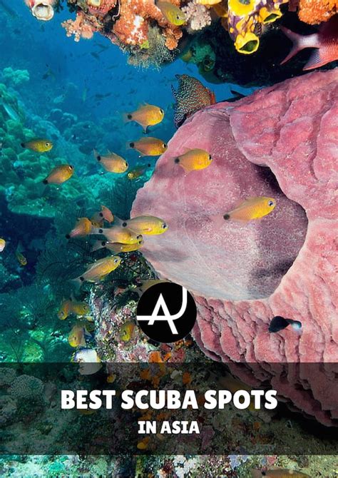 The Best Scuba Diving in the Caribbean - Top 10 Spots