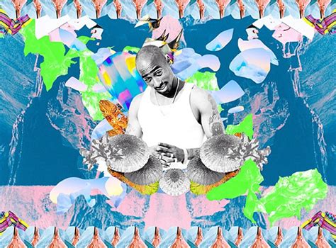 Les Collages DicÔnes Du Hip Hop De Geoff J Kim The Bergerie