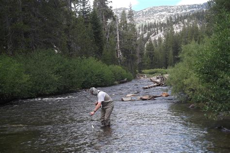 Mammoth Fly Fishing | San Joaquin River