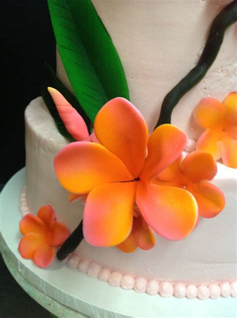 Plumeria Cake Studio Plumeria Cake