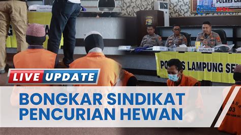 Sindikat Pencurian Hewan Ternak Di Lampung Selatan Dibongkar Pelaku