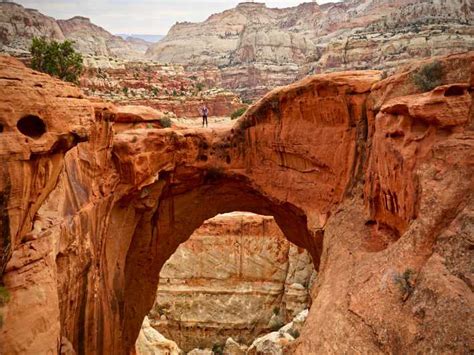 Capitol Reef National Park Self Guided Audio Tour Getyourguide