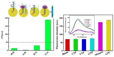 Molecules Free Full Text A Label Free Fluorescent Dna Calculator Based On Gold Nanoparticles