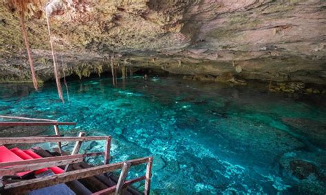 Los Mejores Cenotes Para Visitar En Tulum Y Puerto Morelos Con Tu