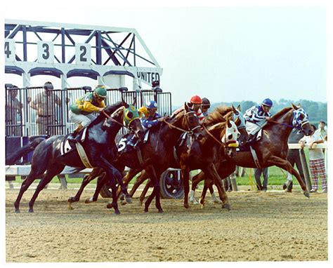 Secretariat Belmont Photos Sep 2024