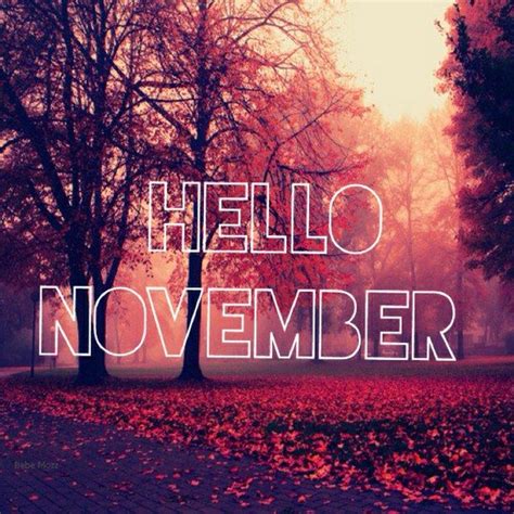 Hello November Pictures Photos And Images For Facebook Tumblr