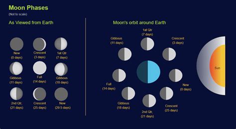 Astronomy Diagram Phases Of The Moon What Appears To Happen