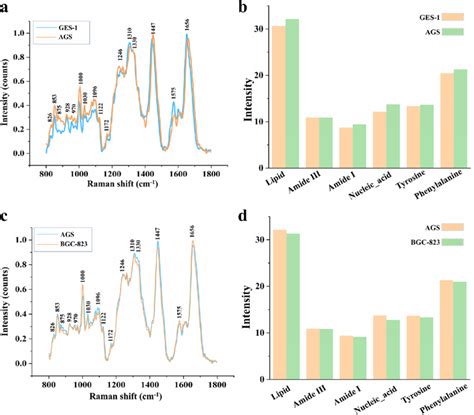 Raman Spectroscopy Analysis A Average Raman Spectrum Of The Normal