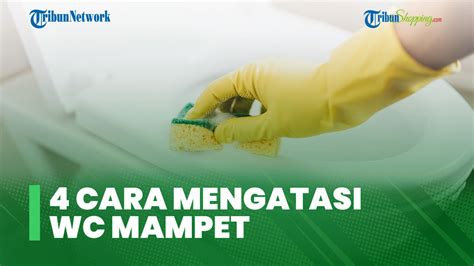 Tips Dan Cara Mudah Mengatasi Wc Mampet Bisa Dilakukan Roto Rooter