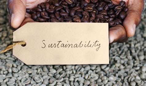 Sustainability Options For Coffee Lovers Connect Coffee