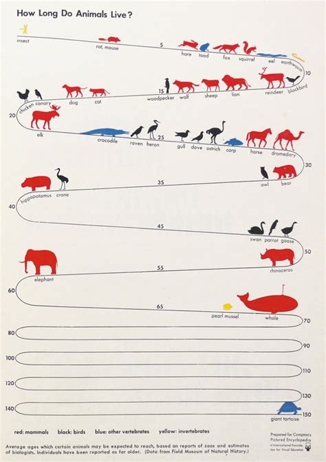 DataViz History: ISOTYPE Charts: The Vintage Visual Language That Gave ...