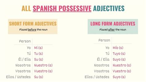 Spanish Possessive Adjectives A Simple Definitive Guide