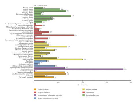 Functional Annotations For Target Genes Mediated By The Download Scientific Diagram