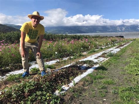 La S Lection Vari Tale Un Travail Essentiel Techniqu