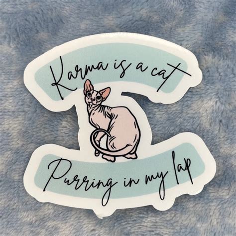 Karma Is A Cat X Taylor Sticker Etsy