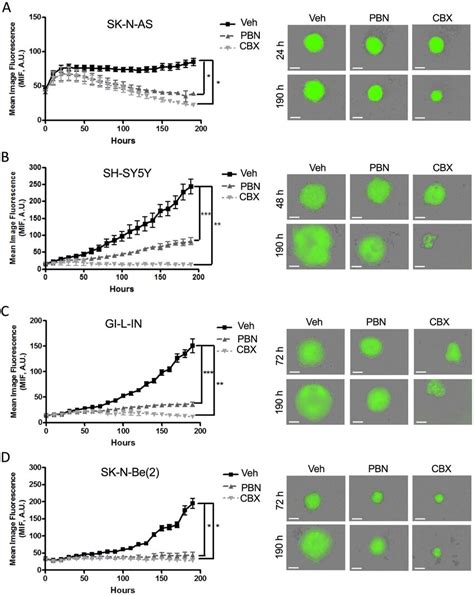 Treatment With Pbn Or Cbx Inhibits D High Risk Nb Spheroid Growth The