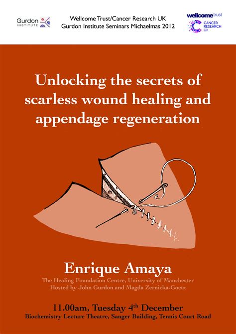 Unlocking The Secrets Of Scarless Wound Healing And Appendage