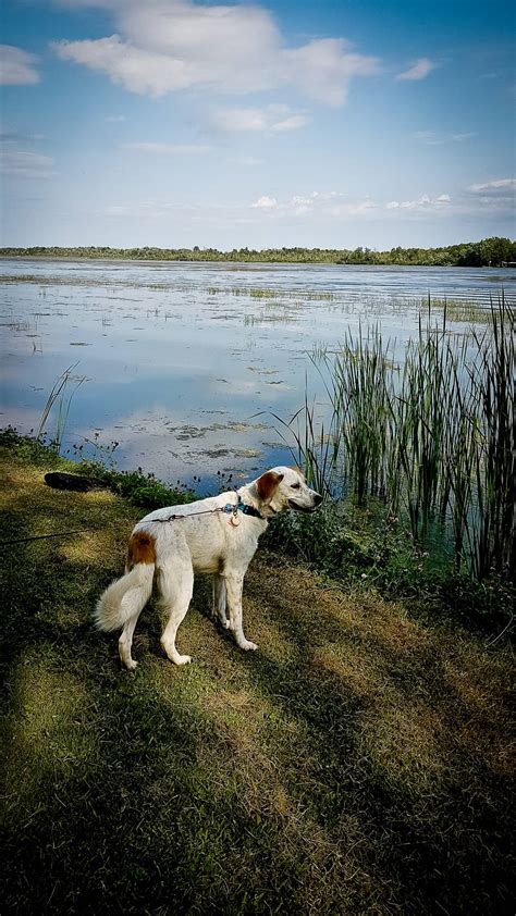 Discovering Rideau River Provincial Park For The First Time