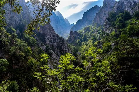 HD wallpaper: picos de europa, asturias, tourism, plant, beauty in ...