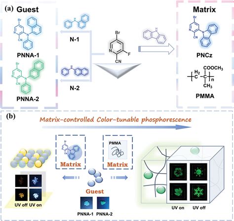 A Class Of Organic Units Featuring MatrixControlled ColorTunable