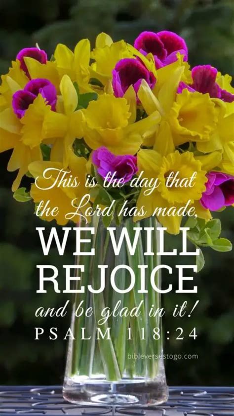 Daffodils Psalm 11824 Encouraging Bible Verses